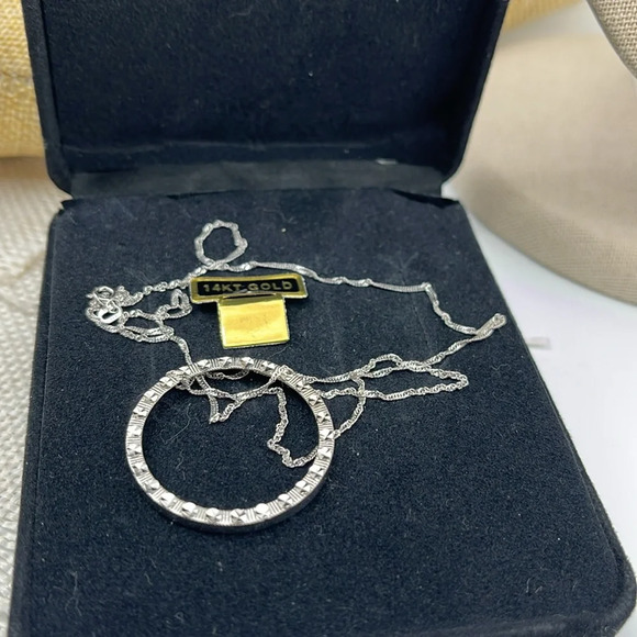 14K White Gold Necklace with Textured Circle Pendant, 18 Inches - Picture 6 of 14